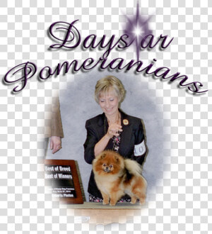 Pomeranian  HD Png Download