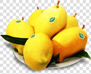 Our Range Of Wholesome Mango Products   Tjc Mango Sri Lanka  HD Png Download