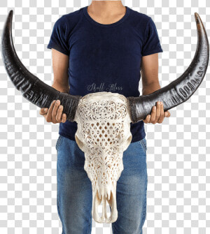 Carved Buffalo Skull   Trophy Skull Carve  HD Png Download