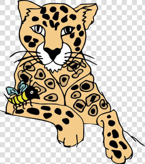 Cliparts For Free Download Leopard Clipart Baby Leopard   Leopard Drawing Png  Transparent Png