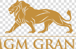 Mgm Grand   Mgm Grand Logo Png  Transparent Png