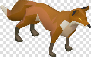 Old School Runescape Wiki   Runescape Fox  HD Png Download