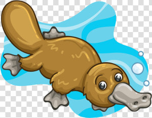 Cute Platypus Clipart  HD Png Download