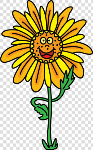 Drawing Sunflowers Small Transparent Png Clipart Free   Drawing  Png Download