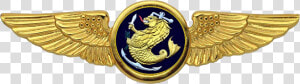 Naval Aircrew Badge   Navy Aircrew Badge  HD Png Download