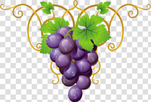 Transparent Clipart Grape Vine Png   Png Download   Promise Tamil Bible Verses  Png Download