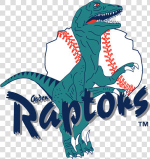 Ogden Raptors  HD Png Download