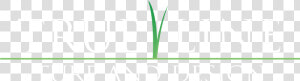 True Line Turf And Design  Llc   Green Grass Line Png  Transparent Png