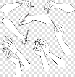 Hands  Figure  Sketches  The Hand  People  Wrist   Illustration  HD Png Download