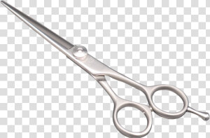 Fst S Series   Scissors  HD Png Download