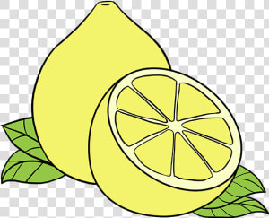 How To Draw Lemon   Drawing Of Lemon  HD Png Download