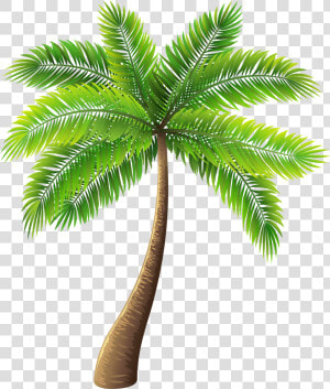 Palm Tree Png Clip Art   Palm Tree Transparent Background  Png Download