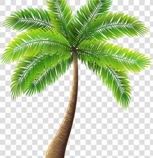 Palm Tree Painting Elegant Palm Tree Art Tropical Palm   Palm Tree Transparent Background  HD Png Download