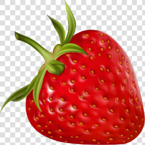 Strawberry Png Clipart   Strawberry Clipart Png  Transparent Png