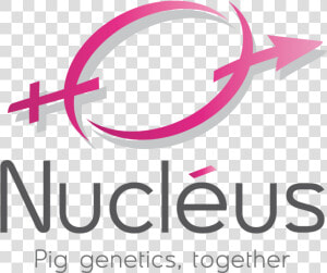 Nucleus  HD Png Download