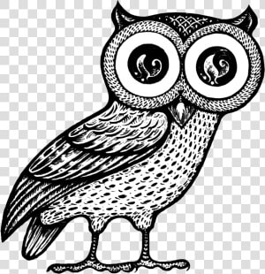 Owl Of Athena   Owl Of Athena Png  Transparent Png