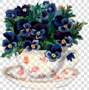 Vintage Pansy Clip Art  HD Png Download