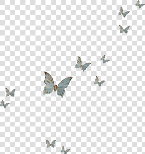 Butterfly Fly Png Download   Clip Art Purple Butterfly  Transparent Png