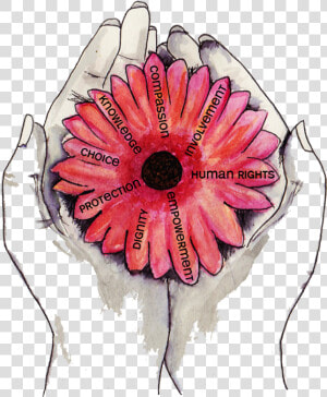 Integritas Support Provides An Independent Social Work   Oriental Poppy  HD Png Download