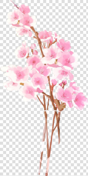 Anime Flowers Png  Png Collections At Sccpre   Anime Flowers Png  Transparent Png