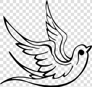 Dove Symbols Of Pentecost  HD Png Download