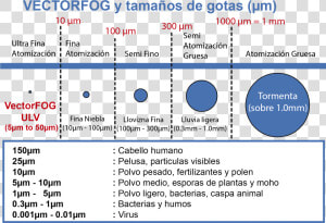 Comparativo Tañaños De Gotas  HD Png Download