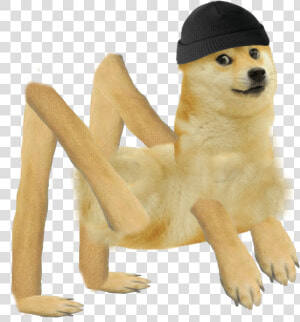 Doge Abomination  HD Png Download