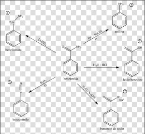 Reacciones Benzamida  HD Png Download