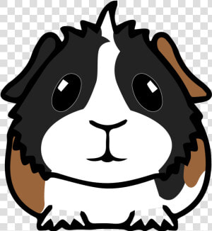 Guinea Pig   Guinea Pig Face Clipart  HD Png Download