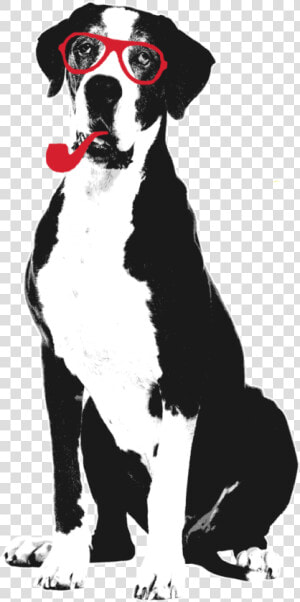 Dalmatian   Png Download   Miniature Fox Terrier  Transparent Png