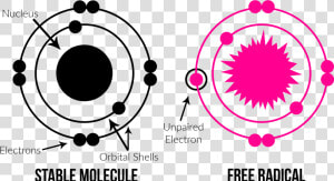 Molecule And Free Radical Diagrams   Free Radical Molecules  HD Png Download