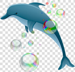 Dolphin  Bubbles  Ocean  Water  Sea  Cartoon  Mermaid   Transparent Background Dolphin Png Clipart  Png Download