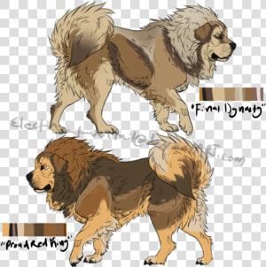 Tibetan Mastiff Drawing  HD Png Download