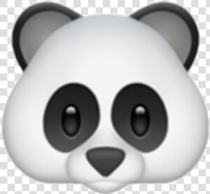 Panda Emoji Png   Panda Emoji  Transparent Png