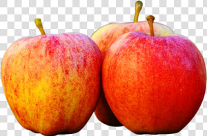 Apple Fruit Clip Art   Apple Images In Png  Transparent Png