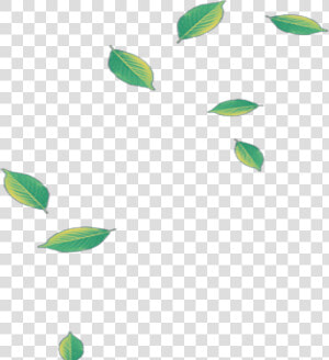  mq  green  leaf  leaves  falling   Green Leaves Falling Png  Transparent Png