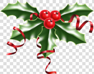 Common Holly Christmas Clip Art   Holly Berries  HD Png Download