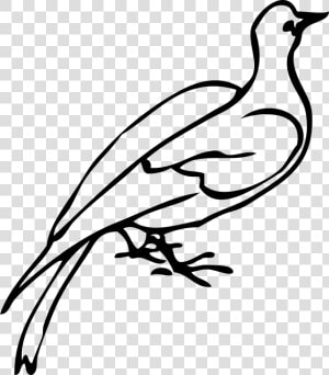 Dove  Bird  Species  Freedom  Love  Symbol  Icon  HD Png Download