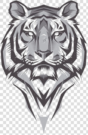 Transparent White Tiger Png   Bengal Tiger Head Drawing  Png Download