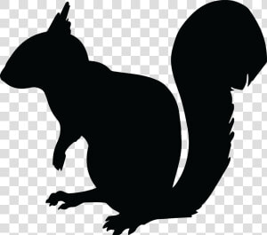 Free Clipart Of A Squirrel Silhouette   Squirrel Silhouette Png  Transparent Png