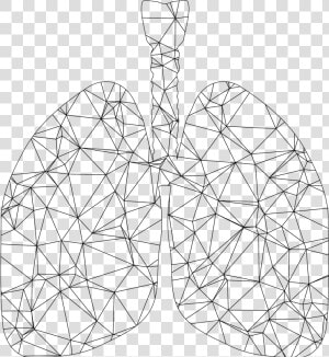 Low Poly Wireframe Lungs Silhouette Clip Arts   Low Poly Art Line Svg  HD Png Download