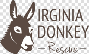 Donkey For Sale In Virginia Beach   Png Download   Burro  Transparent Png