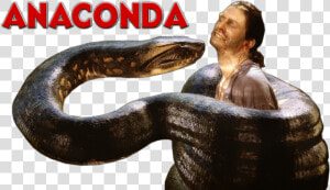 Png Anaconda  Transparent Png