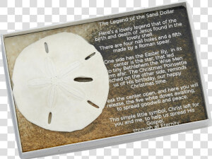 Sand Dollar With Legend boxed   Sand Dollar  HD Png Download