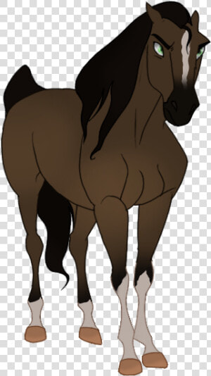 Stallion  HD Png Download