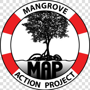 Mangrove Action Project  HD Png Download