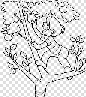 28 Collection Of Climbing A Tree Drawing   Climb Tree Clipart Black And White  HD Png Download