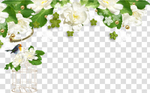 Fleurs De Printemps Bordure  HD Png Download