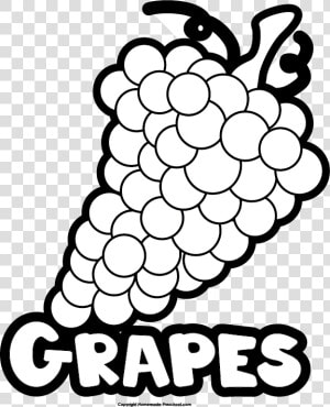 Grapes Clipart Name   Grains Food Group Coloring Page  HD Png Download