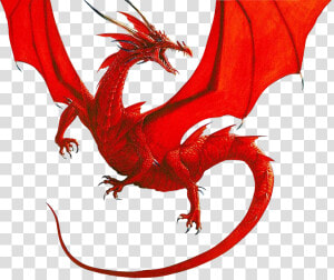 Dragon Clip Red   Red Dragon Png  Transparent Png